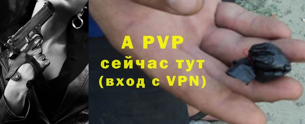 крисы Алексин