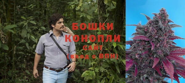 гидропоника Алзамай
