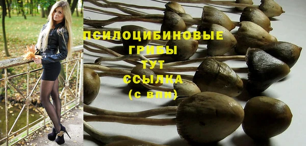 гидропоника Алзамай