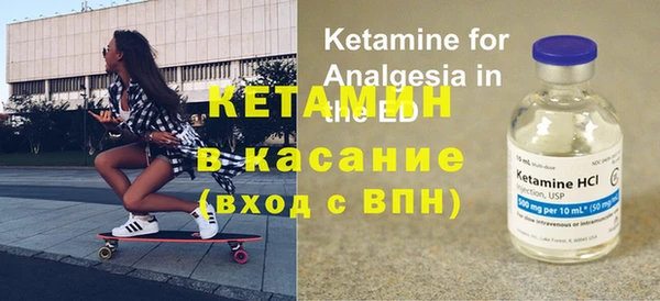 крисы Алексин