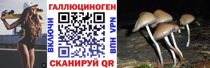 где купить   Андреаполь  Галлюциногенные грибы прущие грибы 